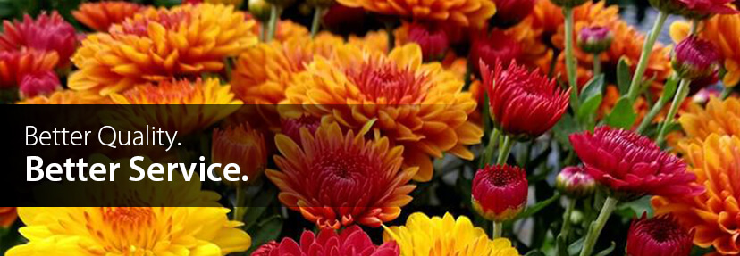 Cheshire Nursery - Garden Center and Flower Shop