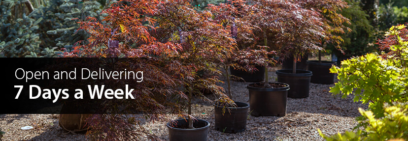 Cheshire Nursery - Garden Center and Flower Shop