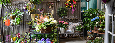 Cheshire Nursery Florist, CT