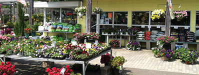 Cheshire Nursery Garden Center, CT